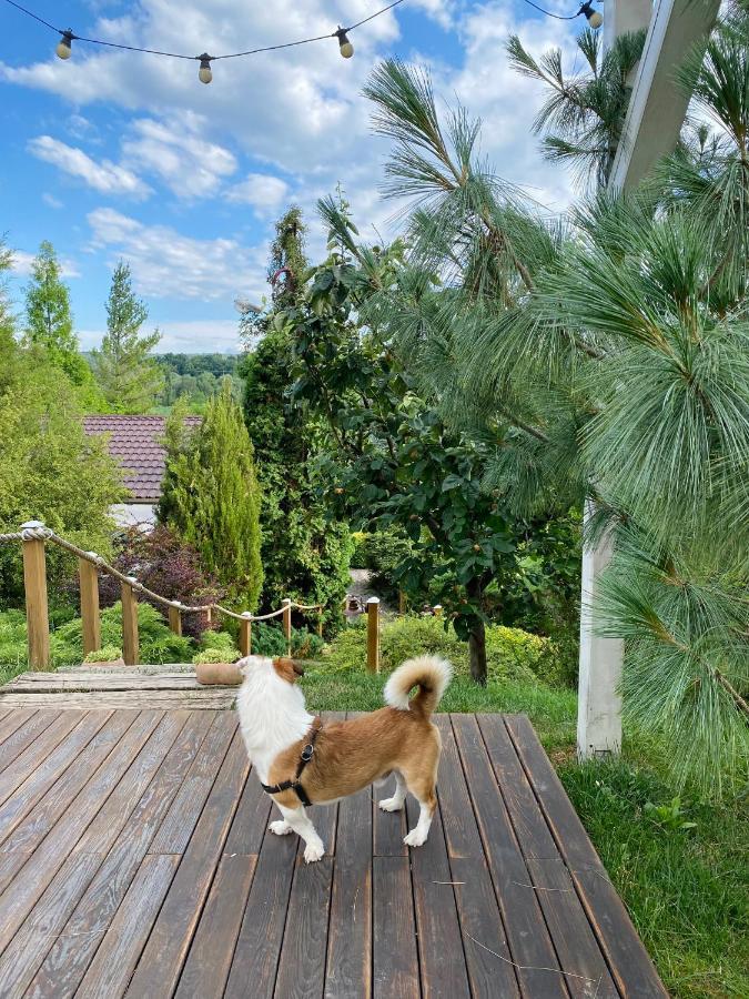 Casa Cu Suflet Hotel Sighisoara Luaran gambar