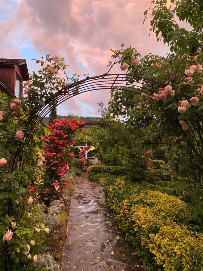 Casa Cu Suflet Hotel Sighisoara Luaran gambar